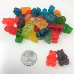 Albanese Gummi Bears 12 Flavors Assorted Fruit 5 Pounds Bulk Gummi Candy 5 Pound