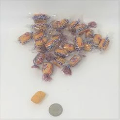 Atkinson Chick-O-Stick Nuggets Chick O Stick Peanut Butter Coconut Candy 1 Pound Wrapped Candy